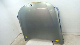 Recambio de capot delantero para bmw 3 (e90) 2004-2012 320 d referencia OEM IAM 41617140729 41617140729 