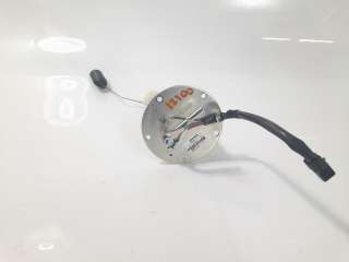 Recambio de bomba combustible para kawasaki z ( - 899cc) - z 650 referencia OEM IAM 490400754  