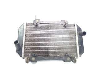Recambio de radiador agua para kymco ak550 2017- referencia OEM IAM 19010LGC6E00  