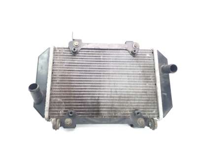 Recambio de radiador agua para kymco ak550 2017- referencia OEM IAM 19010LGC6E00  