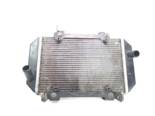 Recambio de radiador agua para kymco ak550 2017- referencia OEM IAM 19010LGC6E00  