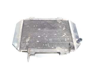 Recambio de radiador agua para kymco ak550 2017- referencia OEM IAM 19010LGC6E00   2