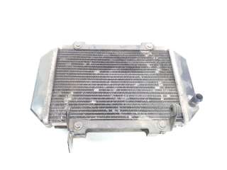 Recambio de radiador agua para kymco ak550 2017- referencia OEM IAM 19010LGC6E00  