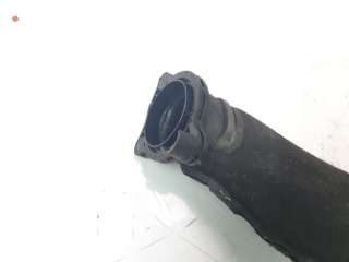 Recambio de tubo para audi a4 avant (8wd) 2019- referencia OEM IAM 05L131111B  