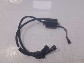 Recambio de bobina encendido para suzuki v-strom 650 2017- referencia OEM IAM F6T546  