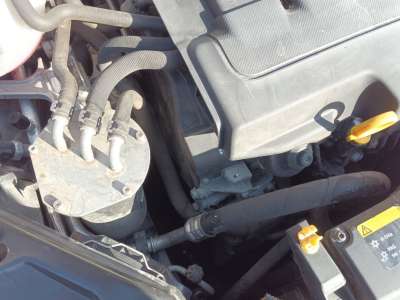 Recambio de alternador para seat leon (5f1) 2012-2021 1.6 tdi referencia OEM IAM 03L903023J  A14447 , ALF280401