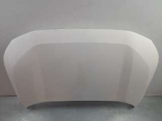 Recambio de capo para toyota rav4 2018- referencia OEM IAM 5330142150  