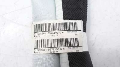 AIRBAG CORTINA DELANTERO IZQUIERDO CITROEN C4 CACTUS  - M.1088609 / 9804358980