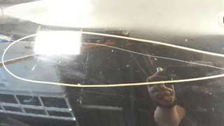 PUERTA DELANTERA IZQUIERDA CITROEN C-ELYSÉE  - M.1151008 / 9803696580