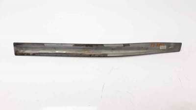 MOLDURA NISSAN JUKE  - M.1025253 / 10144142