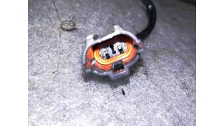ELEVALUNAS TRASERO DERECHO HYUNDAI ATOS PRIME 1.1 12V (58 CV) DE 2003 - D.2142783 / 9882005200