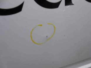 PUERTA LATERAL CORREDERA DERECHA RENAULT KANGOO 1.5 dCi D (65 CV) DE 2005 - D.3180131 2