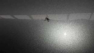 PUERTA TRASERA DERECHA VOLKSWAGEN GOLF V BERLINA 2.0 TDI (140 CV) DE 2005 - D.3351062 2