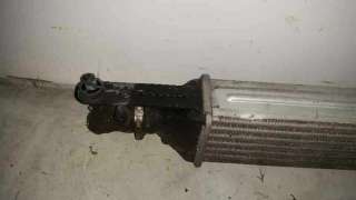 INTERCOOLER FIAT PUNTO 1.3 16V JTD (75 CV) DE 2009 - D.3457097