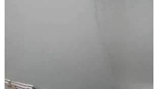 PORTON TRASERO KIA CARENS 2.0 CRDi (140 CV) DE 2006 - D.3491818 2