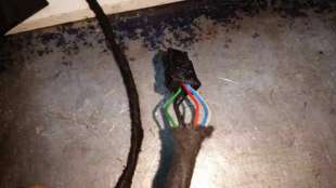 RETROVISOR DERECHO PEUGEOT 307 BREAK/SW 1.6 HDi FAP (109 CV) DE 2005 - D.3614869