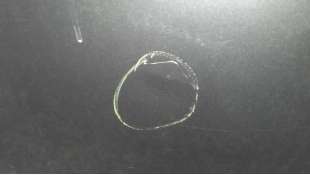 PUERTA TRASERA DERECHA FIAT BRAVO 1.9 8V JTD (120 CV) DE 2007 - D.3665670 2