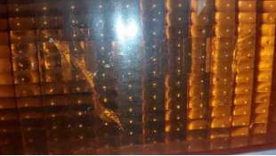 PILOTO DELANTERO DERECHO JEEP CHEROKEE 2.1 Turbodiesel (87 CV) DE 1989 - D.3674659 2