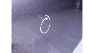 PUERTA TRASERA IZQUIERDA FIAT BRAVO 1.9 8V JTD (120 CV) DE 2007 - D.3682170 2