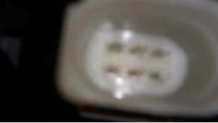 ELEVALUNAS DELANTERO DERECHO BMW SERIE 1 LIM. 2.0 Turbodiesel (116 CV) DE 2013 - D.3718010 2