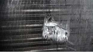 RADIADOR AGUA RENAULT KANGOO 1.5 dCi D (65 CV) DE 2007 - D.3887095 / RM1428 2