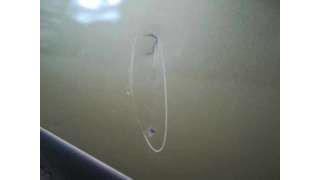 PUERTA DELANTERA IZQUIERDA HYUNDAI TUCSON 2.7 V6 (175 CV) DE 2006 - D.3957729