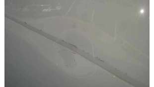 PUERTA DELANTERA DERECHA SMART COUPE 0.8 CDI (45 CV) DE 2008 - D.4053331 2