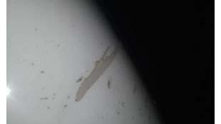 ALETA TRASERA DERECHA SMART COUPE 0.8 CDI (45 CV) DE 2008 - D.4054429 2