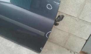 PUERTA DELANTERA DERECHA FORD C-MAX 1.8 TDCi Turbodiesel (116 CV) DE 2007 - D.4110711 2
