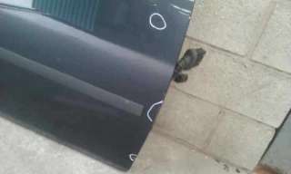 PUERTA DELANTERA DERECHA FORD C-MAX 1.8 TDCi Turbodiesel (116 CV) DE 2007 - D.4110711