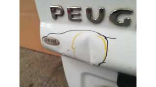 PUERTA TRASERA IZQUIERDA CARGA PEUGEOT EXPERT KASTEN 1.6 HDi FAP (90 CV) DE 2009 - D.4121981