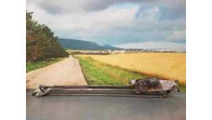 MOTOR LIMPIA DELANTERO RENAULT GRAND MODUS 1.5 dCi D (86 CV) DE 2008 - D.4138838