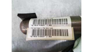 AIRBAG CORTINA DELANTERO DERECHO  CITROEN C4 GRAND PICASSO 1.6 16V HDi FAP (109 CV) DE 2008 - D.4235698 / 9654114980