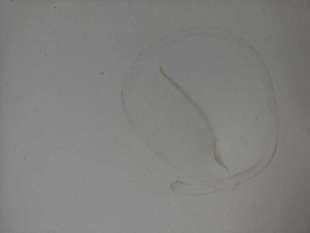 PUERTA DELANTERA DERECHA PEUGEOT BOXER CAMIÓN 2.0 Blue-HDI FAP (131 CV) DE 2018 - D.4303815 2