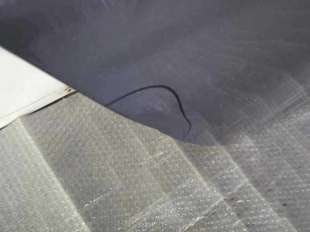 PUERTA TRASERA DERECHA CITROEN C4 LIM. 1.6 Blue-HDI FAP (99 CV) DE 2018 - D.4311878 2