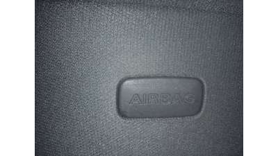 AIRBAG CORTINA DELANTERO IZQUIERDO AUDI Q7 3.0 V6 24V TDI (239 CV) DE 2009 - D.4317513