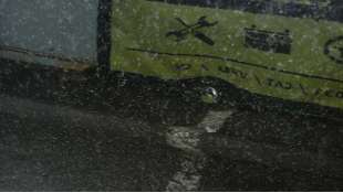 PUERTA TRASERA DERECHA MERCEDES CLASE C  FAMILIAR 3.0 CDI (224 CV) DE 2008 - D.4324855 2