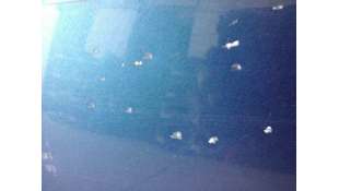 PUERTA TRASERA DERECHA SEAT ALTEA XL 1.6 TDI (105 CV) DE 2014 - D.4334050 2