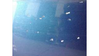 PUERTA TRASERA DERECHA SEAT ALTEA XL 1.6 TDI (105 CV) DE 2014 - D.4334050