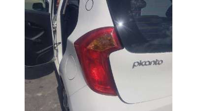 PILOTO TRASERO IZQUIERDO KIA PICANTO 1.0 (65 CV) DE 2017 - D.4416394