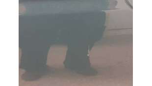 PUERTA DELANTERA IZQUIERDA JAGUAR X-TYPE 2.0 D (131 CV) DE 2004 - D.4424682 2