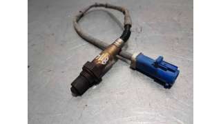 SONDA LAMBDA FORD FOCUS LIM. 1.6 16V (101 CV) DE 2009 - D.4478244 / 3M519C444BC