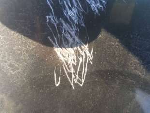 PUERTA TRASERA DERECHA SEAT TOLEDO 1.6 TDI (105 CV) DE 2015 - D.4479207 2