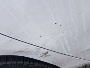 PUERTA TRASERA DERECHA CITROEN C4 LIM. 1.6 HDi FAP (92 CV) DE 2011 - D.4511307 2