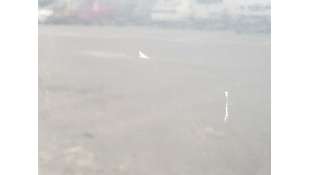 PUERTA TRASERA IZQUIERDA SSANGYONG ACTYON 2.0 TD (141 CV) DE 2009 - D.4520792 2