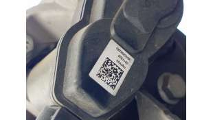 PINZA FRENO TRASERA IZQUIERDA PEUGEOT 2008 1.5 Blue-HDI FAP (131 CV) DE 2020 - D.4528074 2