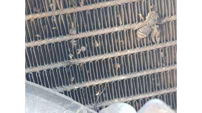 CONDENSADOR / RADIADOR AIRE ACONDICIONADO HYUNDAI TERRACAN 2.9 CRDi (163 CV) DE 2005 - D.4532543