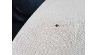 ASIENTO DELANTERO DERECHO CITROEN C-ZERO el (48 CV) DE 2011 - D.4551533 2