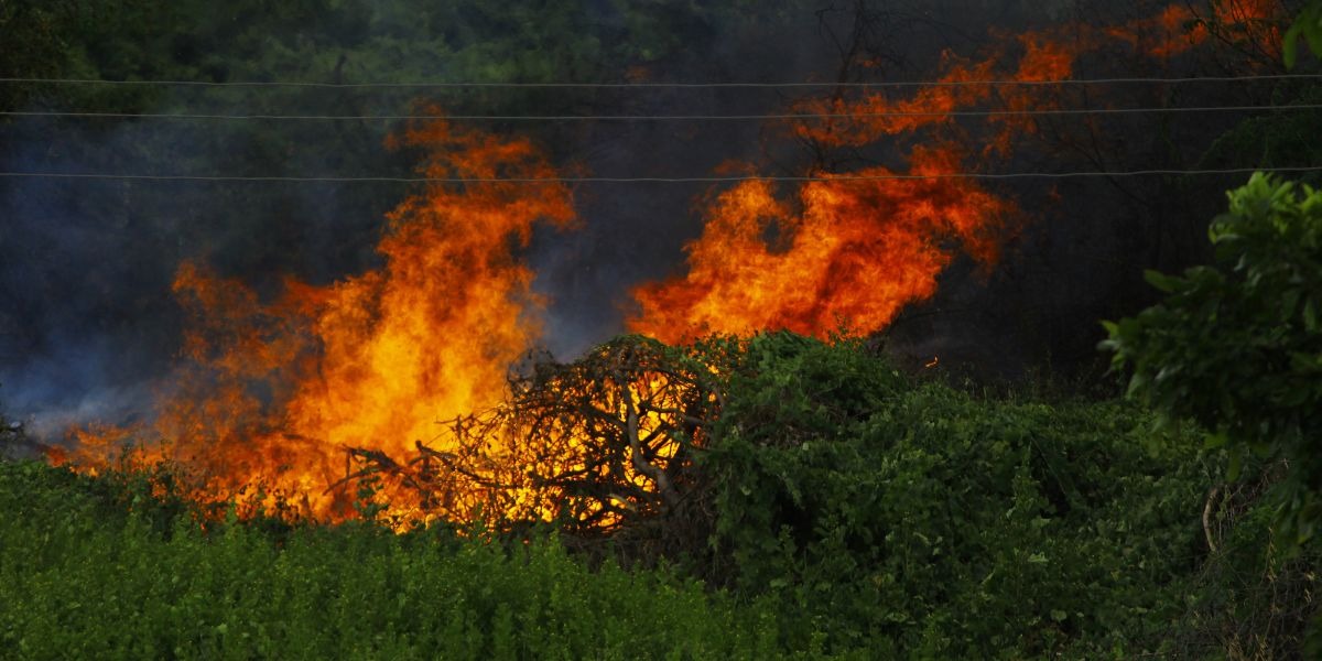 Qué hacer si te encuentras con un incendio en plena carretera